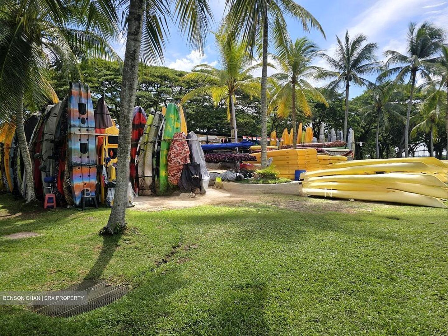 Pasir Ris Beach Park (D18), Semi-Detached #508906901